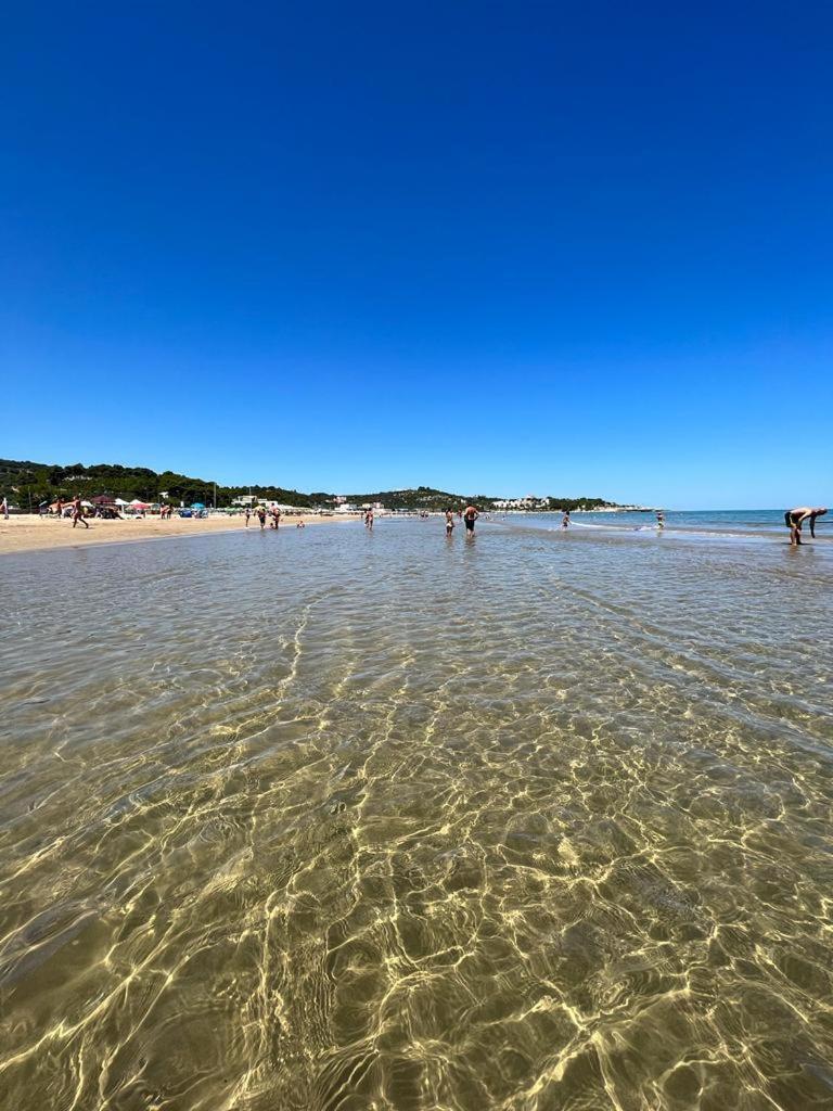 Appartamenti Le Porte Del Gargano Vieste Exteriér fotografie
